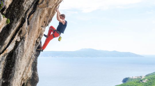 Climbing Up the Walls