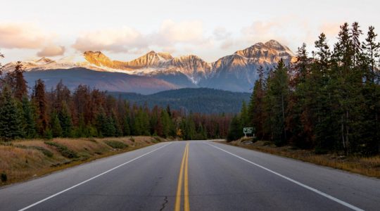 It’s a long way to the top (If you wanna Rock ‘N’ Roll)