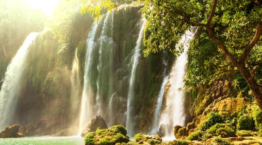 Another day in paradise