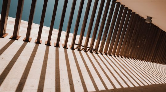 Entre luces y sombras