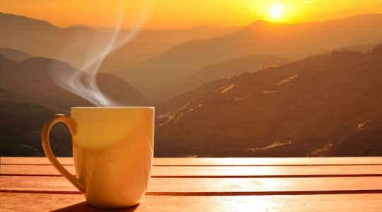 Wake me up before you go-go