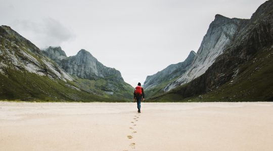 Follow You, Follow Me