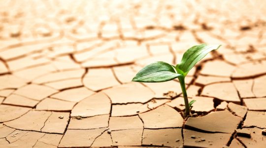 When the world is running down, you make the best of what’s still around