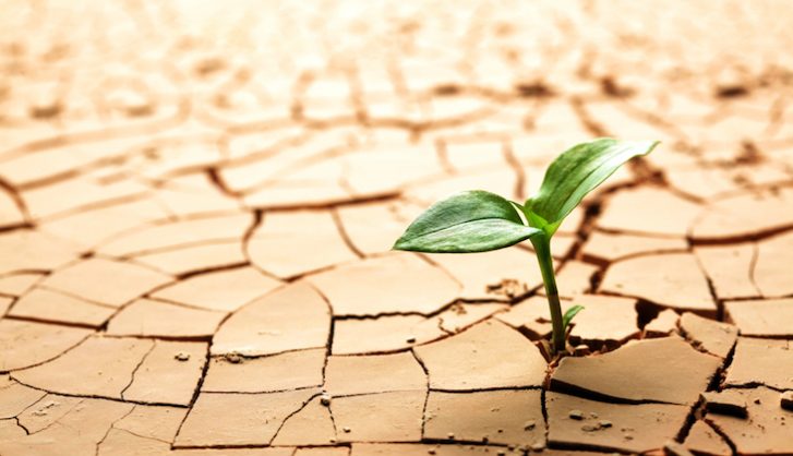 When the world is running down, you make the best of what’s still around