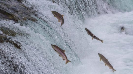 Resisting the current