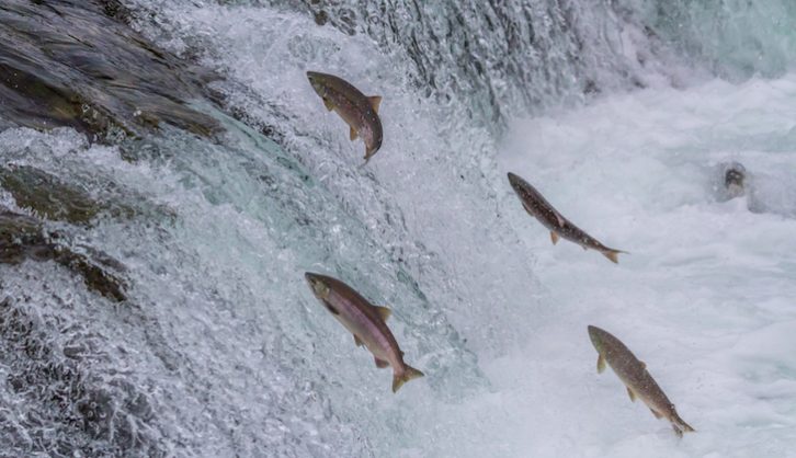 Resisting the current