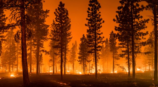 We didn´t start the fire