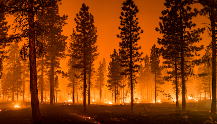 We didn´t start the fire