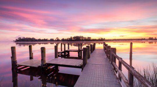 Algo Flota en la Laguna