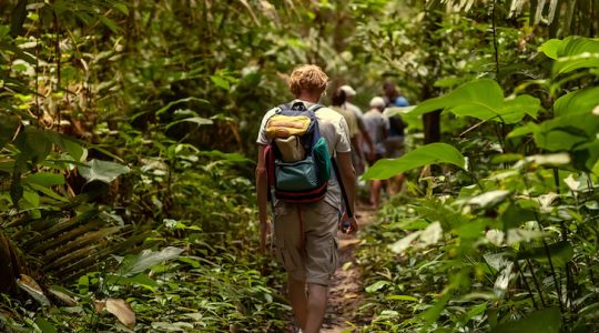 Walk on the wild side