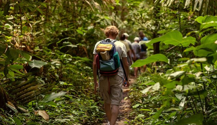 Walk on the wild side