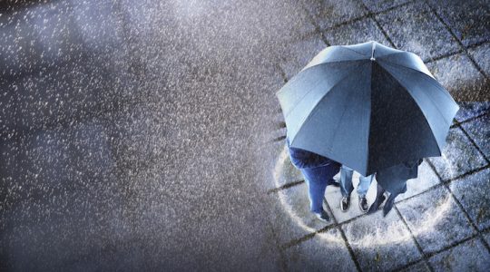 Shelter from the storm