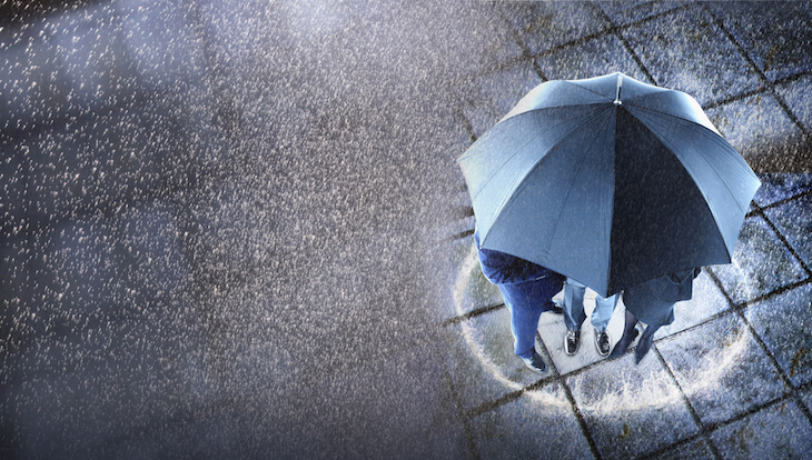 Shelter from the storm