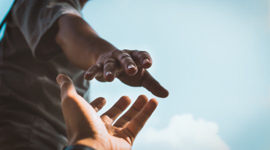 I get knocked down but I get up again