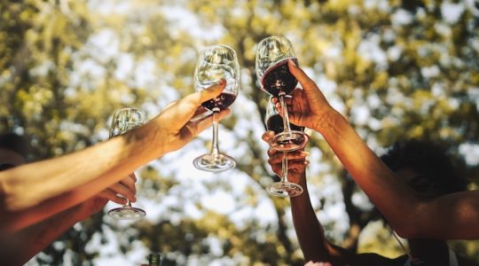 Brindemos compañeros