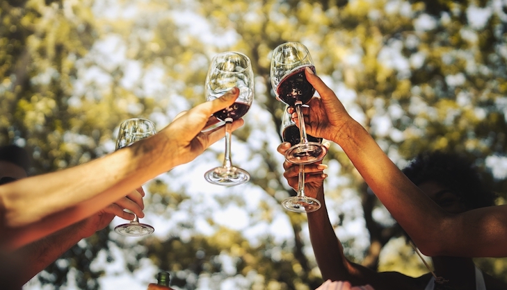 Brindemos compañeros