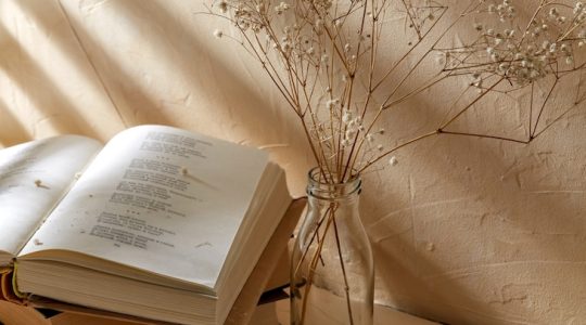 Puedo escribir los versos más tristes esta noche…