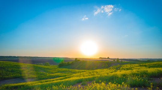 Cuando menos piensas sale el sol
