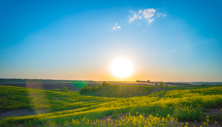 Cuando menos piensas sale el sol