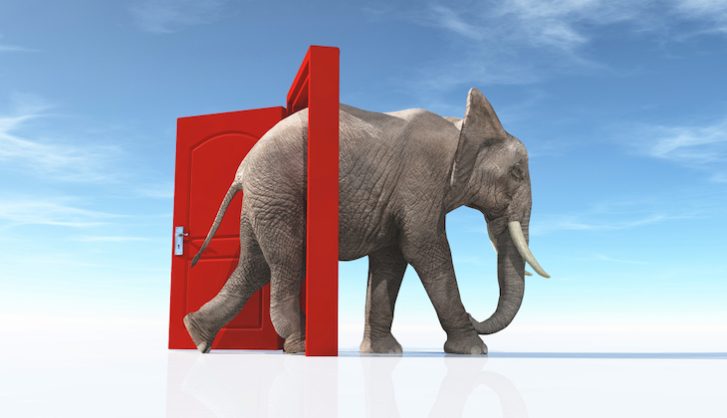 Un elefante entra en escena