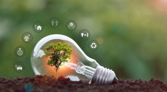 Coinversiones: una ruta atractiva hacia los activos alternativos