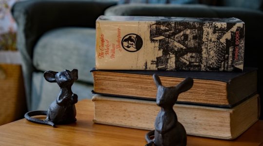 Ser o no ser, esa es la cuestión