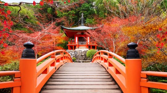 El regreso del sol naciente