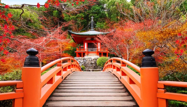 El regreso del sol naciente